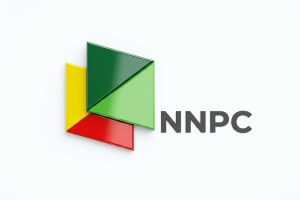 Home nnpc oem png